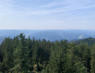 Blick vom Turm