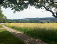 ... im Westerwald