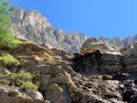 im Rosengarten