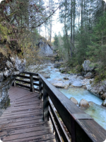 im Zauberwald