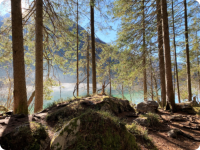 Hintersee